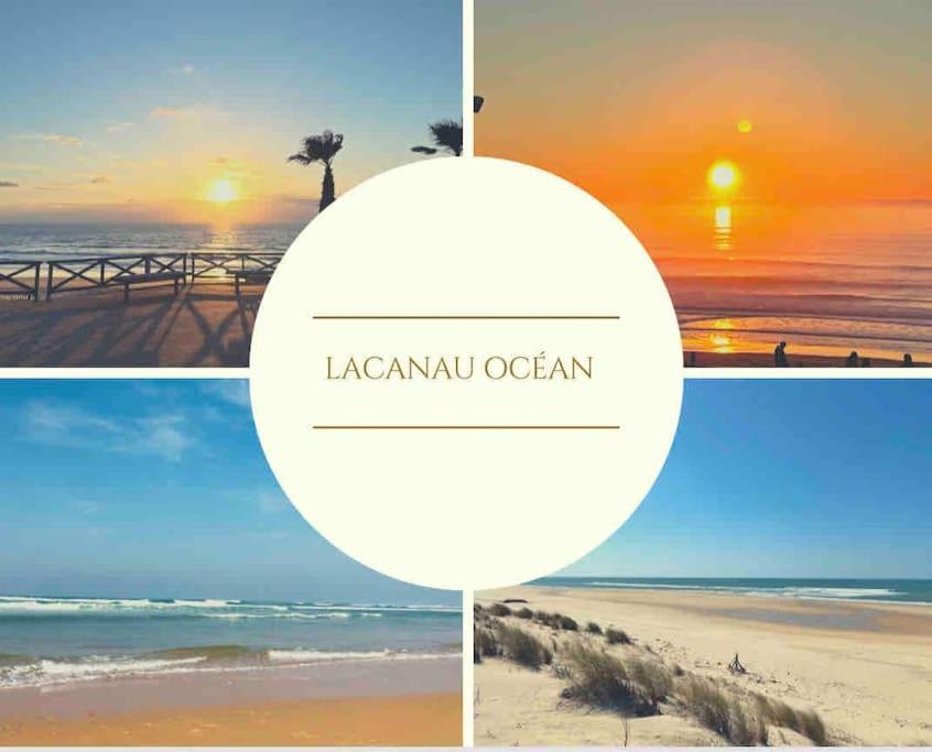Cosy Studio Avec Vue Sur L'Ocean Lacanau Exterior photo